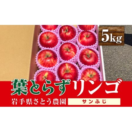  Ƃ_̗tƂ炸S Tӂ 5kg tƂ炸 t[c ʕ  ~ { {̃t[c {̉ʕ   Yn  s \ 2025N茧s14000ʕEt