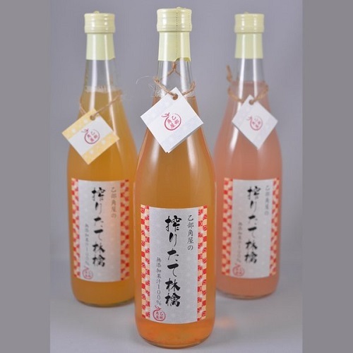 佐々木果樹園 乙部角屋 搾りたて 林檎ジュース 720ml 3本 盛岡りんご 飲料 果汁飲料 飲み物 アップルジュース 砂糖不使用 保存料不使用 100%ストレート果汁 岩手県盛岡市16000お茶・飲料果汁