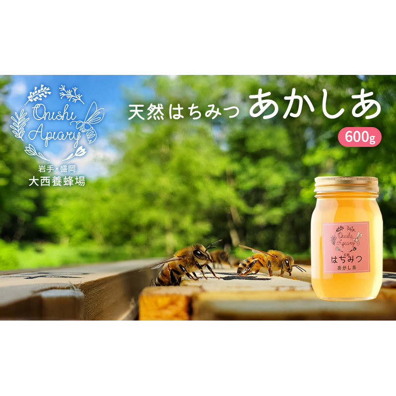 盛岡市 大西養蜂場 天然はちみつ あかしあ 600g 非加熱はちみつ 非加熱 ハチミツ 蜂蜜 国産 国産はちみつ 国産はちみつ非加熱 アカシア蜂蜜 非加熱蜂蜜 国産蜂蜜 はちみつ 岩手 岩手県 盛岡