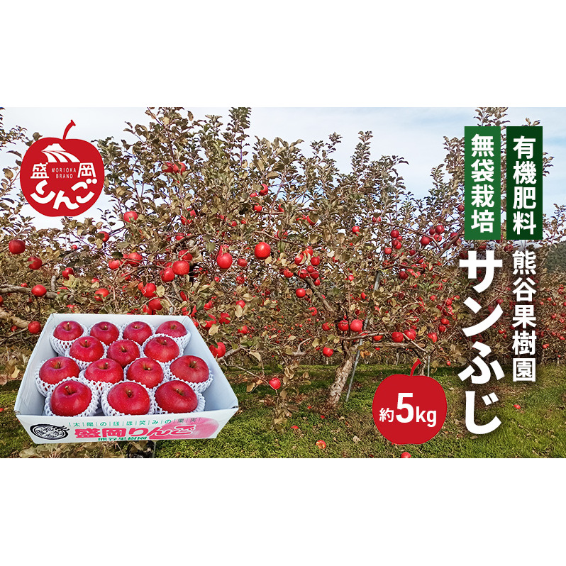 数量限定 先行予約 りんご サンふじ 約5kg 13〜16玉入 11月下旬より出荷 有機肥料 無袋栽培 林檎 リンゴ 果物 フルーツ 旬の果物 旬のフルーツ 季節の果物 季節のフルーツ 岩手りんご 限定 岩