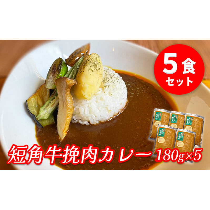 肉専門レストラン「パイオニアファーム」 短角牛挽肉カレー5食セット お肉 牛肉 加工品 惣菜 冷凍 岩手県盛岡市20000鍋セット・総菜・加工食品カレー・シチュー