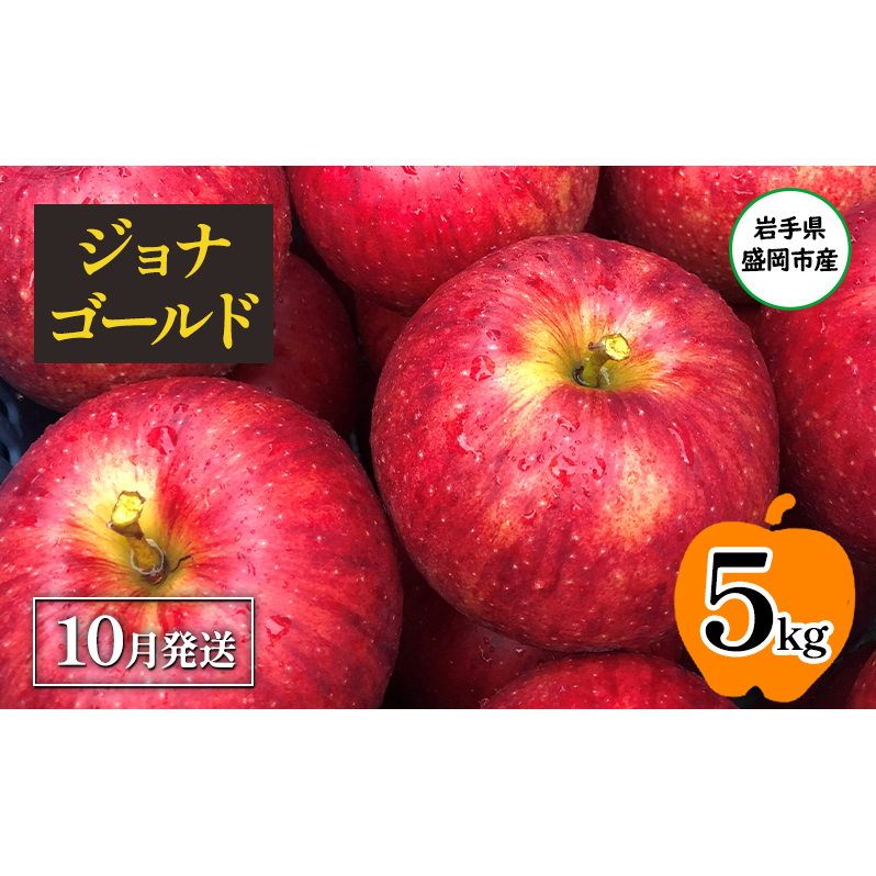 【10月発送】盛岡市産 田村ふぁーむ 家庭用 ジョナゴールド5kg(14〜20玉)岩手県盛岡市12000果物・フルーツりんご・梨