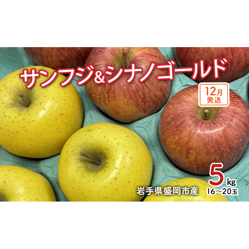 【12月発送】盛岡市産 田村ふぁーむ 家庭用 完熟りんごサンふじ&シナノゴールド5kg(14〜20玉) 果物類 林檎 リンゴ 岩手県盛岡市14000果物・フルーツりんご・梨