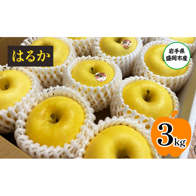  ͂邩 3kg (8`12) kc񂲉    t[c ʕ {̃t[c { {̉ʕ Yn  茧  s 12茧s20000ʕEt[c
