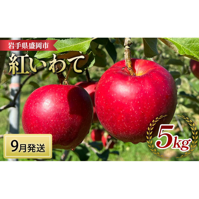 先行予約【9月発送】盛岡 北田りんご園 紅いわて 5kg (14〜20個)岩手県盛岡市16000果物・フルーツりんご・梨