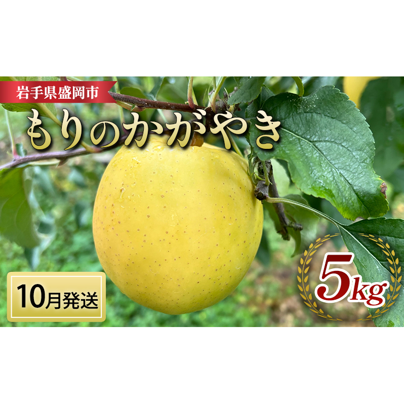 先行予約【10月発送】盛岡 北田りんご園 もりのかがやき 5kg (14〜20個)岩手県盛岡市16000果物・フルーツりんご・梨