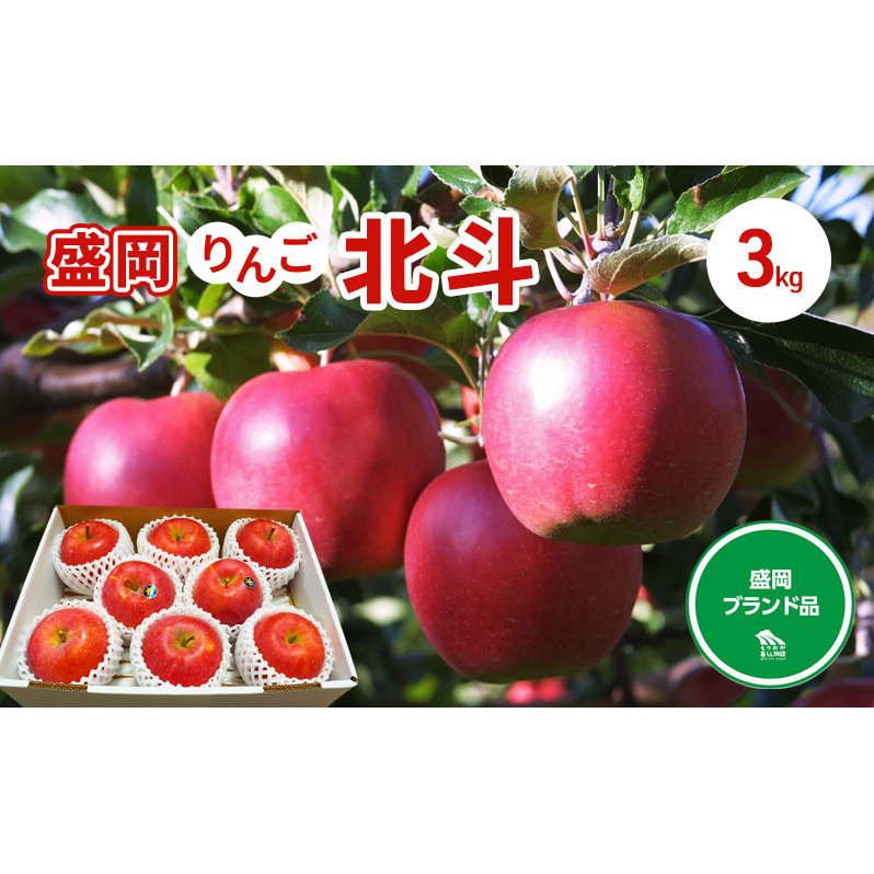 10月末〜順次発送【先行予約】朝島りんご生産組合 盛岡りんご りんご 北斗約3kg(7〜9個)岩手県盛岡市13000果物・フルーツりんご・梨