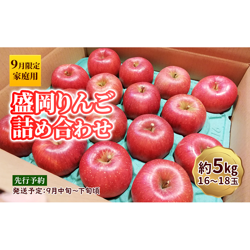 9月限定 りんご 『盛岡りんご』生果実 家庭用 約5kg(18〜16個) 箱 詰め合わせ 盛岡市 下久保農園産                       岩手県盛岡市16000果物・フルーツりんご・梨