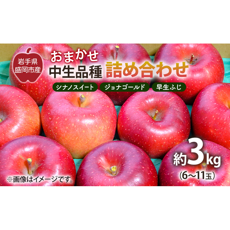 盛岡から「農で人をつなぐ」藤与果樹園:おまかせ中生品種詰め合わせ(シナノスイート、ジョナゴールド、早生ふじ、ぐんま名月、もりのかがやき等から2種以上)3kg 岩手県盛岡市11000果