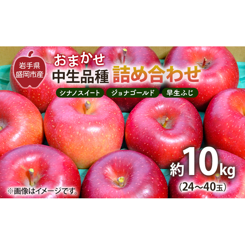 盛岡から「農で人をつなぐ」藤与果樹園:おまかせ中生品種詰め合わせ(シナノスイート、ジョナゴールド、早生ふじ、ぐんま名月、もりのかがやき等から2種以上)10kg 岩手県盛岡市20000果