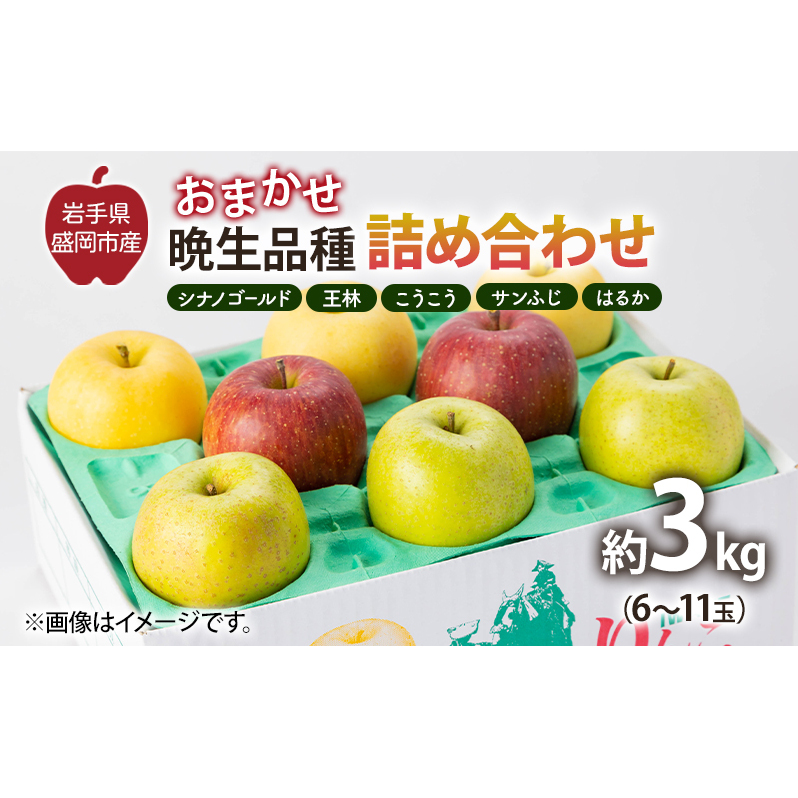 盛岡から「農で人をつなぐ」藤与果樹園:おまかせ晩生品種詰め合わせ(シナノゴールド、王林、こうこう、サンふじ、はるか、金星、ぐんま名月、シナノスイート等から2種以上)3kg フ