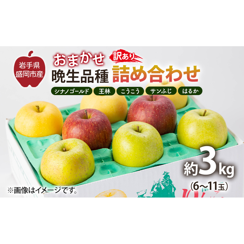 盛岡から「農で人をつなぐ」藤与果樹園:《訳アリ》おまかせ晩生品種詰め合わせ(シナノゴールド、王林、こうこう、サンふじ、はるか、金星、ぐんま名月、シナノスイート等から2種以