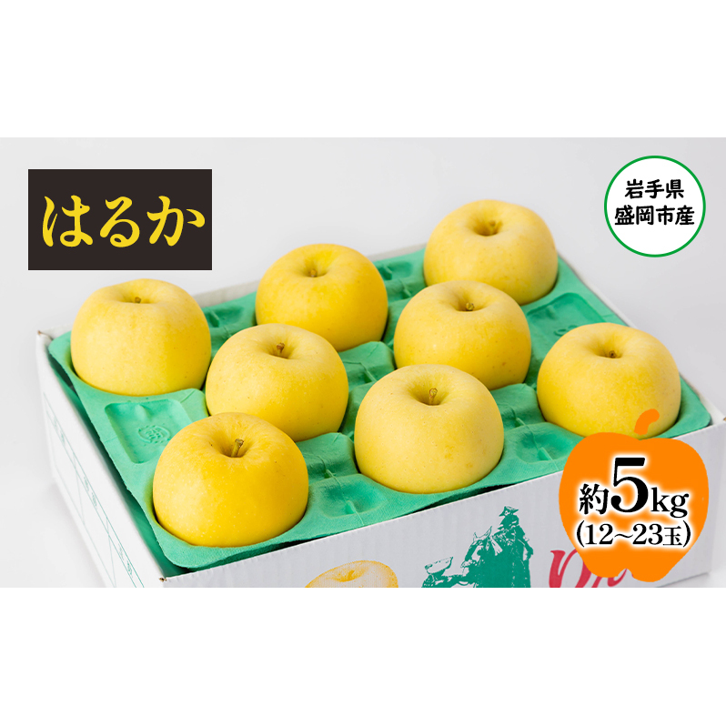 盛岡から「農で人をつなぐ」藤与果樹園:はるか5kg フルーツ 果物 旬のフルーツ 旬の果物 旬 冬 岩手 盛岡 産地直送 玉数指定不可 詰め合わせ 岩手 盛岡岩手県盛岡市19000果物・フルーツりん