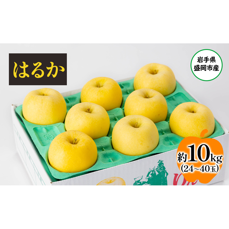 u_ŐlȂv^ʎF͂邩10kg t[c ʕ {̃t[c {̉ʕ { ~   Yn ʐws lߍ킹  茧s30000ʕEt[c