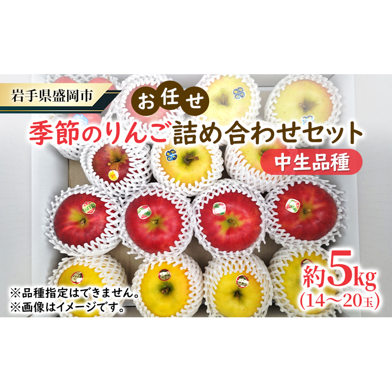 【大櫻農園】盛岡 りんご 中生「お任せ 季節のりんご詰め合わせ」約5kg(14〜20玉)林檎 リンゴ 果物 フルーツ 旬の果物 旬のフルーツ 季節の果物 季節のフルーツ 岩手りんご 岩手県 盛岡市