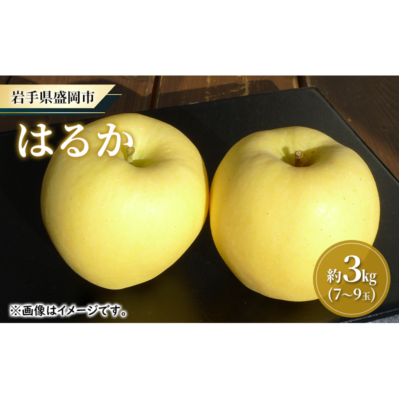 【大櫻農園】はるか 盛岡 完熟 りんご 約3kg(7〜9玉)林檎 リンゴ 果物 フルーツ 旬の果物 旬のフルーツ 季節の果物 季節のフルーツ 岩手りんご 岩手県 盛岡市 岩手県盛岡市19000果物・フル