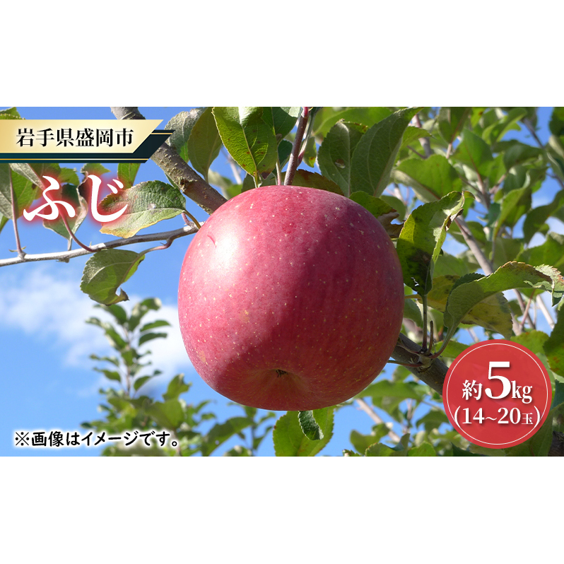 【大櫻農園】ふじ 盛岡 完熟 りんご 約5kg(14〜20玉)林檎 リンゴ 果物 フルーツ 旬の果物 旬のフルーツ 季節の果物 季節のフルーツ 岩手りんご 岩手県 盛岡市岩手県盛岡市16000果物・フルー