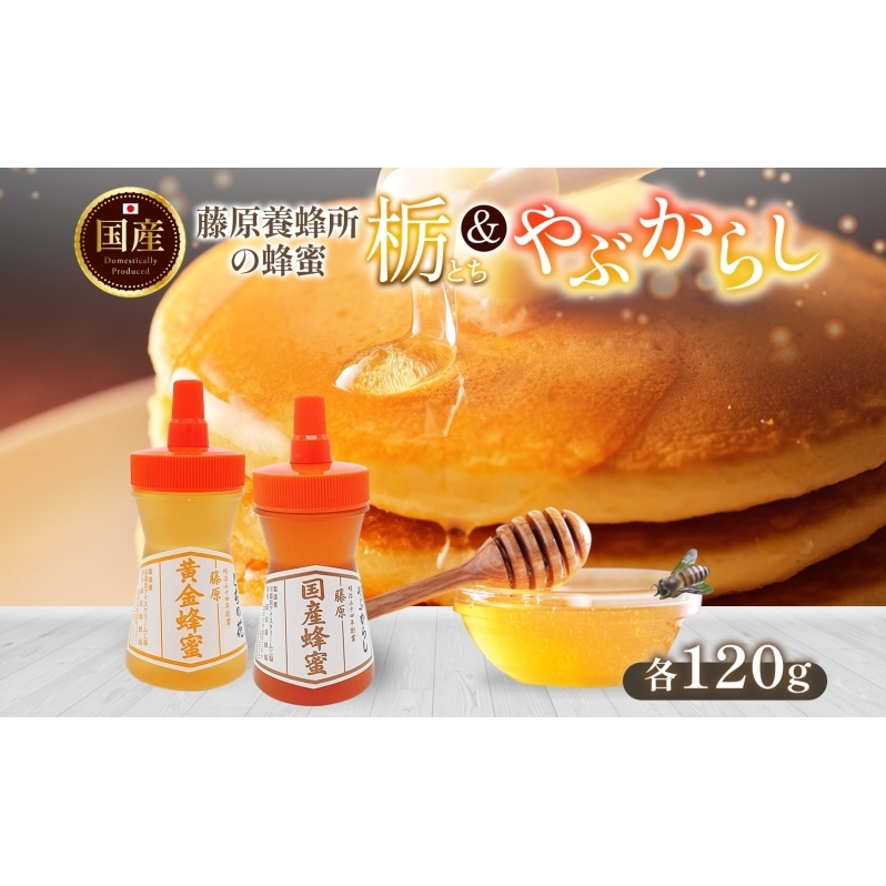 藤原黄金蜂蜜 栃 国産蜂蜜 やぶからし 各120g 計240g はちみつ とち ヤブカラシ 国産 単花蜜 朝しぼり 完熟 ハチミツ パン 菓子 トースト ホットケーキ ヨーグルト 調味料 隠し味 お取り寄せ ポ