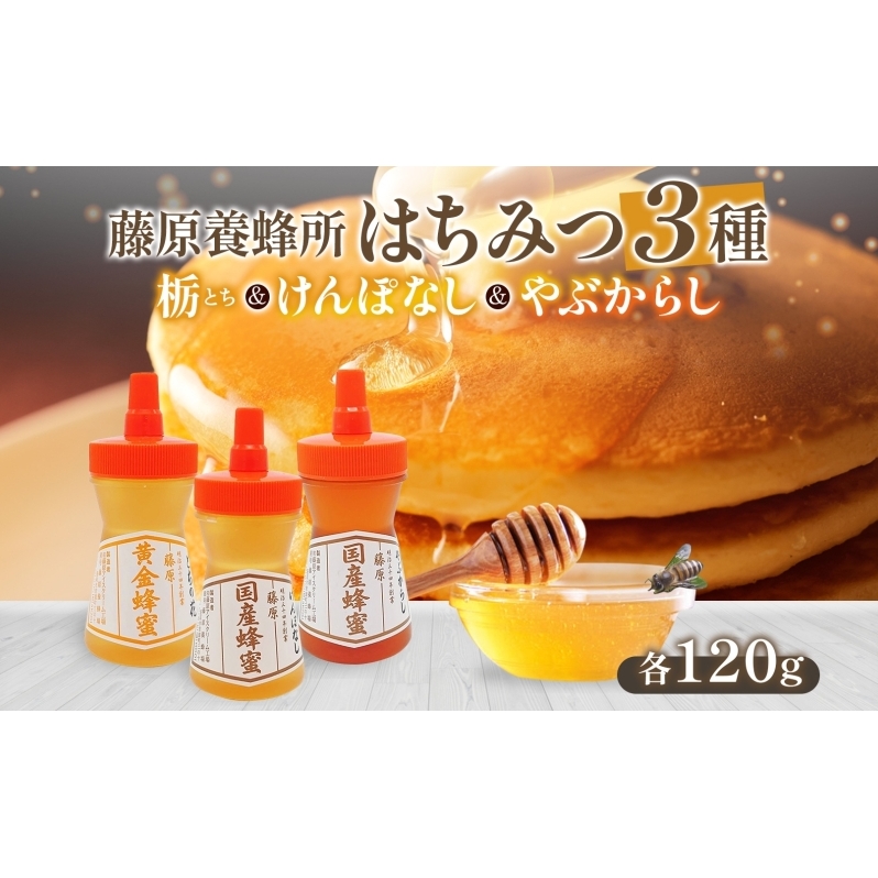 藤原黄金蜂蜜 3種セット 栃 けんぽなし やぶからし 各120g 計360g はちみつ とち 国産 単花蜜 朝しぼり 完熟 ハチミツ パン 菓子 トースト ホットケーキ ヨーグルト 調味料 お取り寄せ ポリ容器