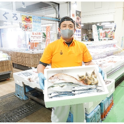越前港!朝獲れお魚詰め合わせ 5種類【配送不可地域:離島・北海道・沖縄・東北・関東・中国・四国・九州】【1094333】福井県越前町33000魚介・海産物干物