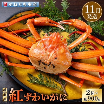 ≪浜茹で≫越前産 紅ずわいがに × 2杯【11月発送分】【配送不可地域:離島・北海道・沖縄・東北・関東・中国・四国・九州】【1260046】福井県越前町43000魚介・海産物カニ