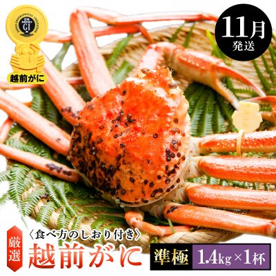 ≪浜茹で≫ 越前がに 準極 × 1杯【11月発送分】【配送不可地域:離島・北海道・沖縄】【1260063】福井県越前町215000魚介・海産物カニ