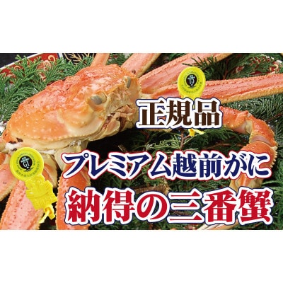 ˔!OԊI@[̃v~AzO × 1t l䥂Ły12E1zyzsnFzy1264273z䌧zO242000ECYJj