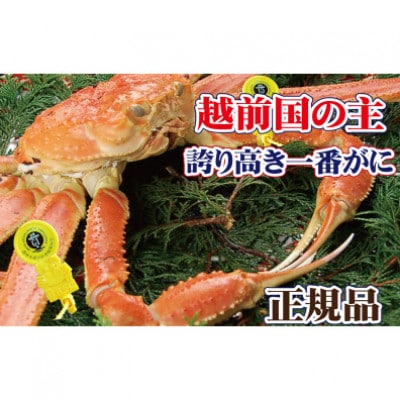 ˔!ԊI@zO̎!zOɂ̏ے × 1t l䥂Ły11zyzsnFzy1264285z䌧zO318000ECYJj