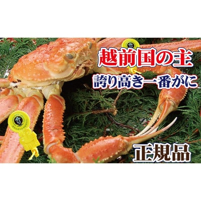 桐箱入り!一番蟹 越前国の主!越前がにの象徴 × 1杯 ≪浜茹で≫【12・1月発送分】【配送不可地域:離島】【1264286】福井県越前町398000魚介・海産物カニ