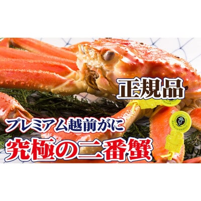 桐箱入り!二番蟹 上質のプレミアム越前がに × 1杯 ≪浜茹で≫【12・1月発送】【配送不可地域:離島】【1264314】福井県越前町309000魚介・海産物カニ