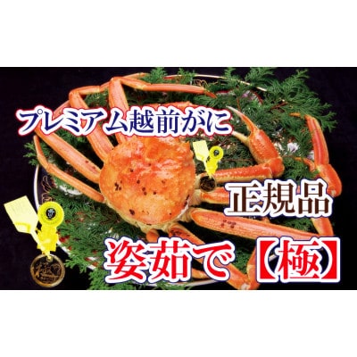 桐箱入り!完全なる越前がに【極】越前がにの皇帝 × 1杯 ≪浜茹で≫【11月発送分】【配送不可地域:離島】【1264354】福井県越前町1358000魚介・海産物カニ