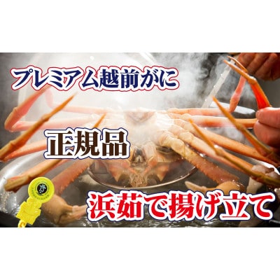 桐箱入り!完全なる越前がに【極】越前がにの皇帝 × 1杯 ≪浜茹で≫【12・1月発送分】【配送不可地域:離島】【1264360】福井県越前町1697000魚介・海産物カニ