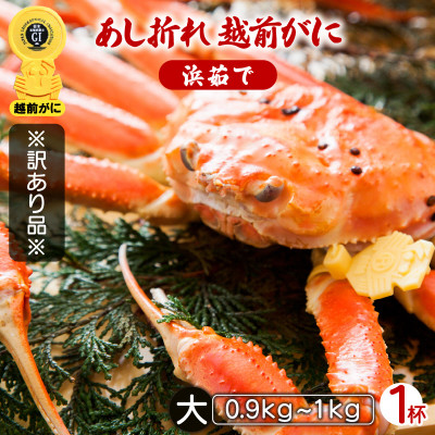 地元鮮魚店厳選 【訳あり】 ≪浜茹で≫ 足折れ 越前がに 大サイズ 1杯【11月発送分】【配送不可地域:離島】【1264388】福井県越前町85000魚介・海産物カニ