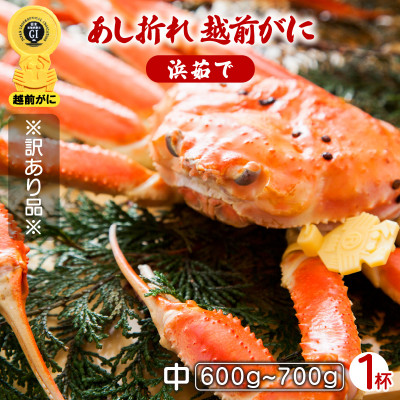 地元鮮魚店厳選 【訳あり】 ≪浜茹で≫ 足折れ 越前がに 中サイズ 1杯【11月発送分】【配送不可地域:離島】【1264512】福井県越前町49000魚介・海産物カニ
