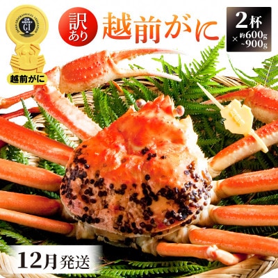 【訳あり】≪浜茹で≫ 越前がに 600〜900g前後 × 2杯【12月発送分】【配送不可地域:離島・北海道・沖縄】【1267363】福井県越前町140000魚介・海産物カニ