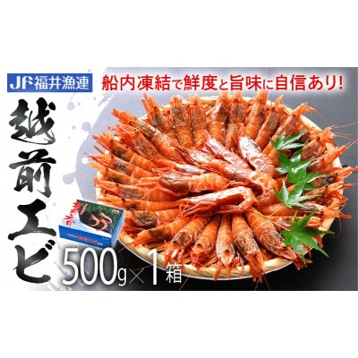 【JF福井漁連ブランド】船凍越前えび 500g【配送不可地域:離島】【1269973】福井県越前町11000魚介・海産物エビ