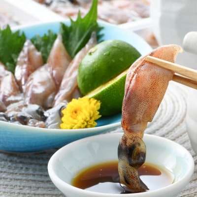 【越前海岸・美味直送シリーズ】ホタルイカ(刺身・しゃぶしゃぶ用)【配送不可地域:離島】【1297561】福井県越前町11000魚介・海産物イカ・タコ・ウニ
