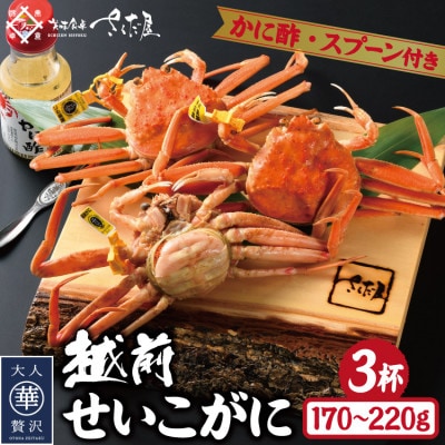 浜茹で越前せいこがに約170〜220g3杯 かに酢&かにスプーン付き【配送不可地域:離島】【1327113】福井県越前町21000魚介・海産物カニ