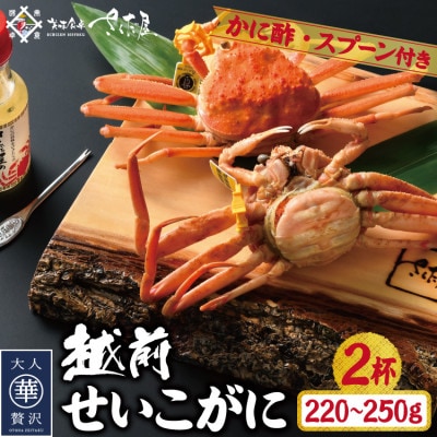 浜茹で越前せいこがに約220〜250g2杯 かに酢&かにスプーン付き【配送不可地域:離島】【1327138】福井県越前町20000魚介・海産物カニ