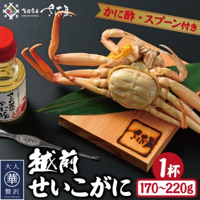 浜茹で越前せいこがに約170〜220g1杯 かに酢&かにスプーン付き【配送不可地域:離島】【1327142】福井県越前町7000魚介・海産物カニ