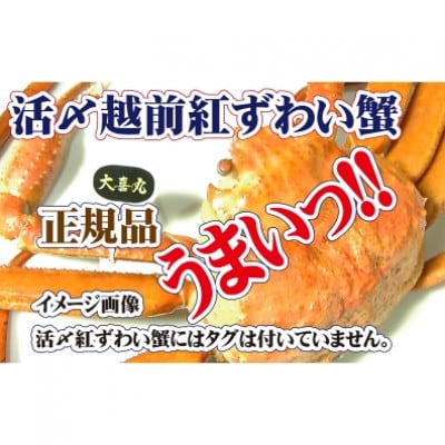 活〆 越前 紅ずわいがに × 1杯 旨味満載!! ≪浜茹で≫【11月発送分】【配送不可地域:離島・北海道・沖縄・東北・九州】【1330968】福井県越前町19000魚介・海産物カニ