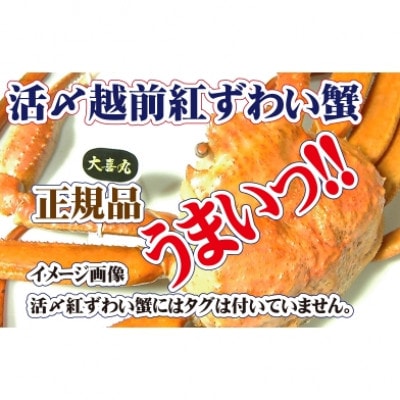 活〆 越前 紅ずわいがに × 1杯 旨味満載!! ≪浜茹で≫【12・1月発送分】【配送不可地域:離島・北海道・沖縄・東北・九州】【1330972】福井県越前町20000魚介・海産物カニ