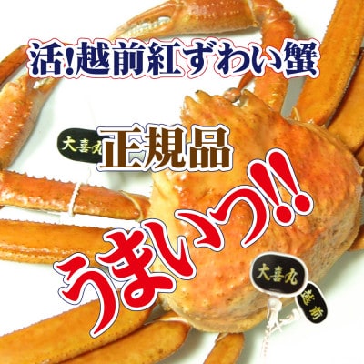 ! zO g킢 1t |_!! ᐶy4E5zyzsnFEkCEEkEBzy1330997z䌧zO22000ECYJj