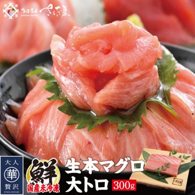 「生まぐろ」大トロ 300g(2〜3柵)【配送不可地域:離島・北海道・沖縄】【1332881】福井県越前町27000魚介・海産物鮮魚