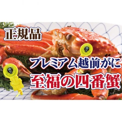 桐箱入り!四番蟹 至福のプレミアム越前がに × 1杯 ≪生≫【11月発送分】【配送不可地域:離島・北海道・沖縄・四国・九州】【1333674】福井県越前町158000魚介・海産物カニ