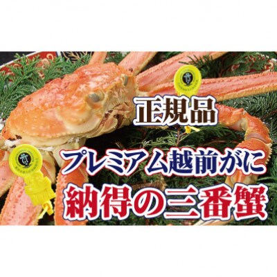 桐箱入り!三番蟹 納得のプレミアム越前がに × 1杯 ≪生≫【12・1月発送分】【配送不可地域:離島・北海道・沖縄・四国・九州】【1334060】福井県越前町242000魚介・海産物カニ
