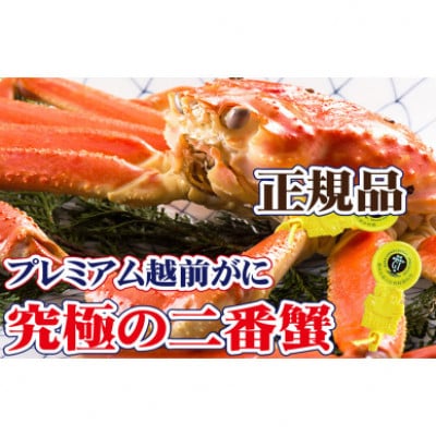 桐箱入り!二番蟹 上質のプレミアム越前がに × 1杯 ≪生≫【12・1月発送分】【配送不可地域:離島・北海道・沖縄・四国・九州】【1334158】福井県越前町309000魚介・海産物カニ
