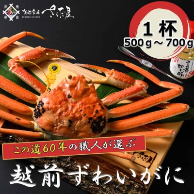 【3月より順次発送!】浜茹で越前ずわい500〜700g 1杯 かに酢&かにスプーン付き【配送不可地域:離島】【1341821】福井県越前町100000魚介・海産物カニ