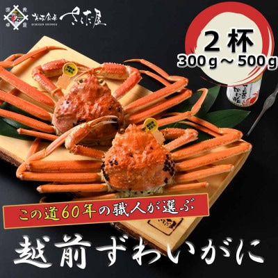 【3月より順次発送!】浜茹で越前ずわい300〜500g 2杯 かに酢&かにスプーン付き【配送不可地域:離島】【1341856】福井県越前町96000魚介・海産物カニ
