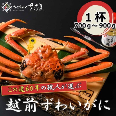 【3月より順次発送!】浜茹で越前ずわい700〜900g 1杯 かに酢&かにスプーン付き【配送不可地域:離島】【1341894】福井県越前町99000魚介・海産物カニ